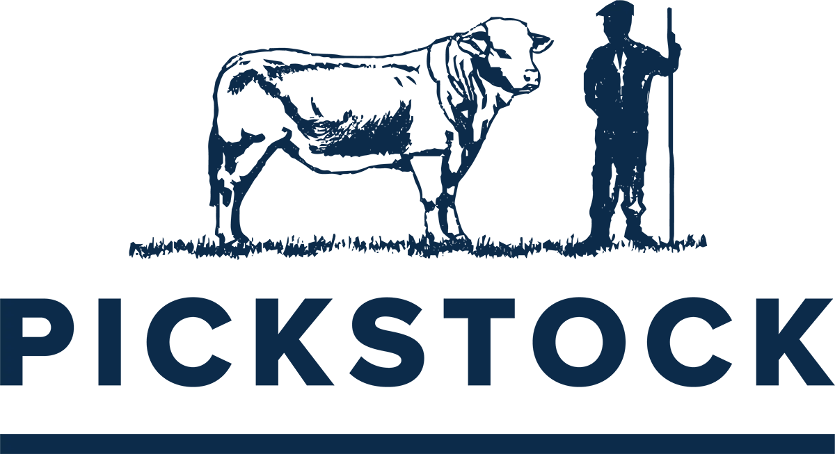 Pickstock Navy Logo