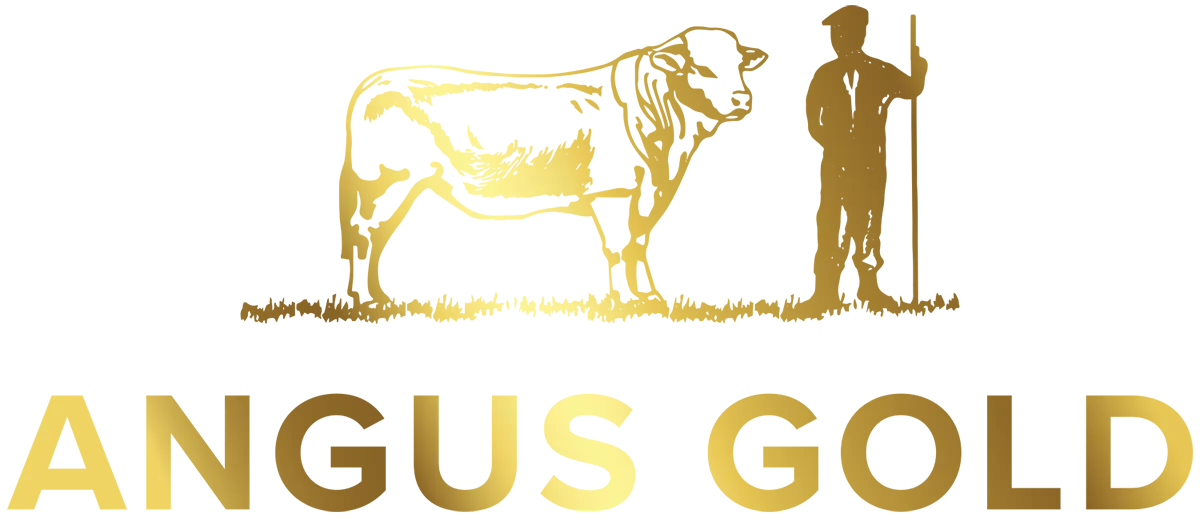 Pickstock Angus Gold Logo