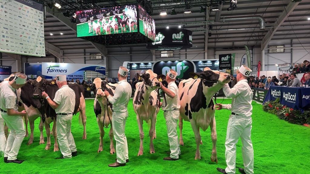 Pickstock attending AgriScot - displaying their cows and machinery.