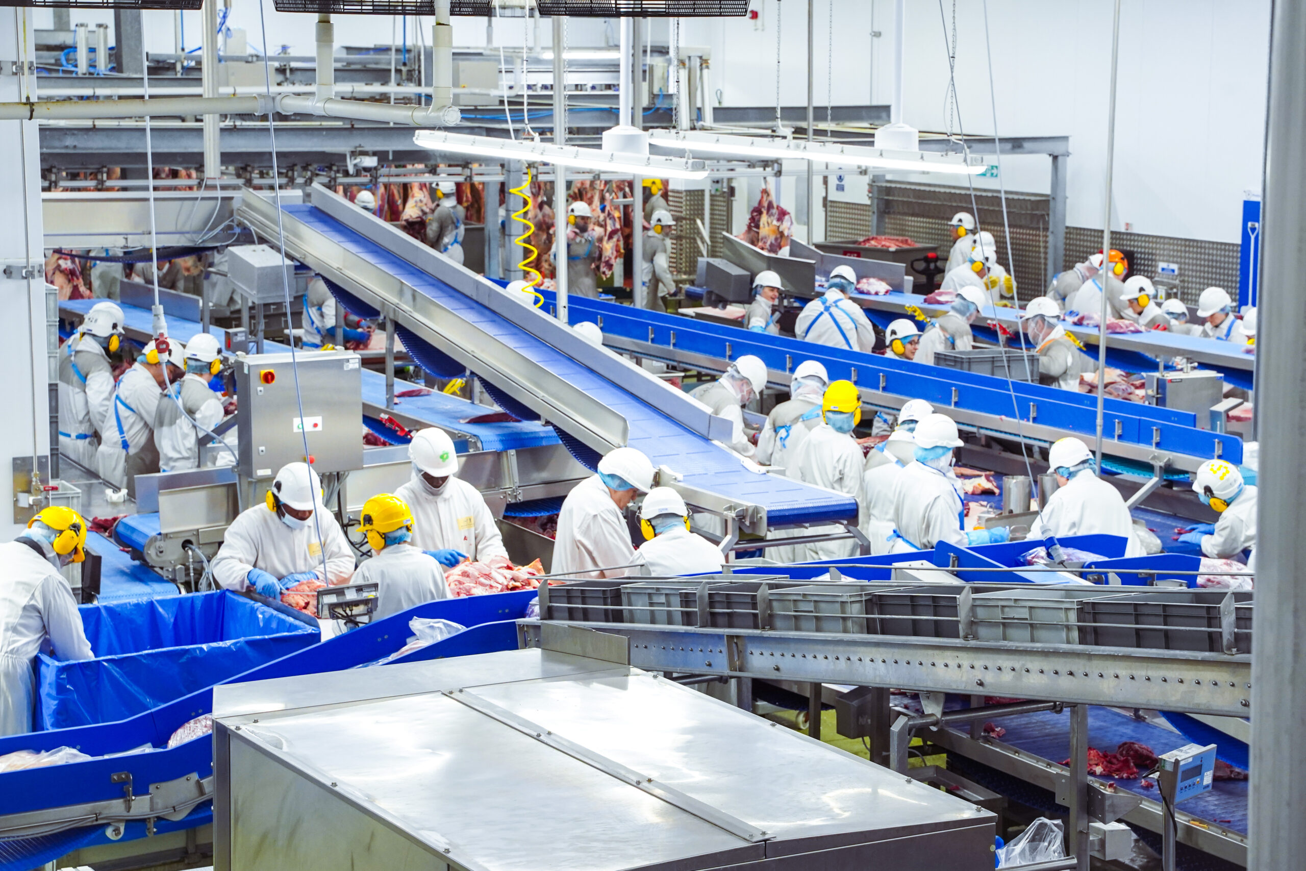 Pickstock production of premium british beef in factory.