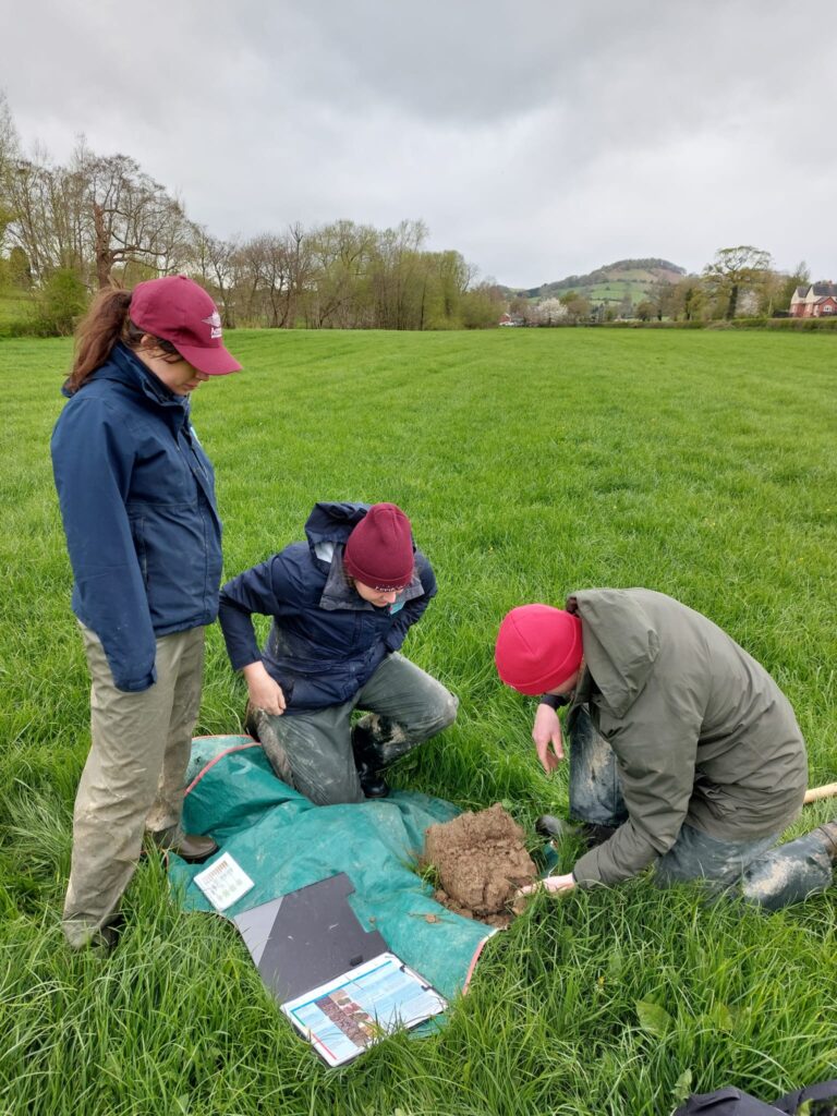 Pickstock team members assessing soil health at Brongain Farm.